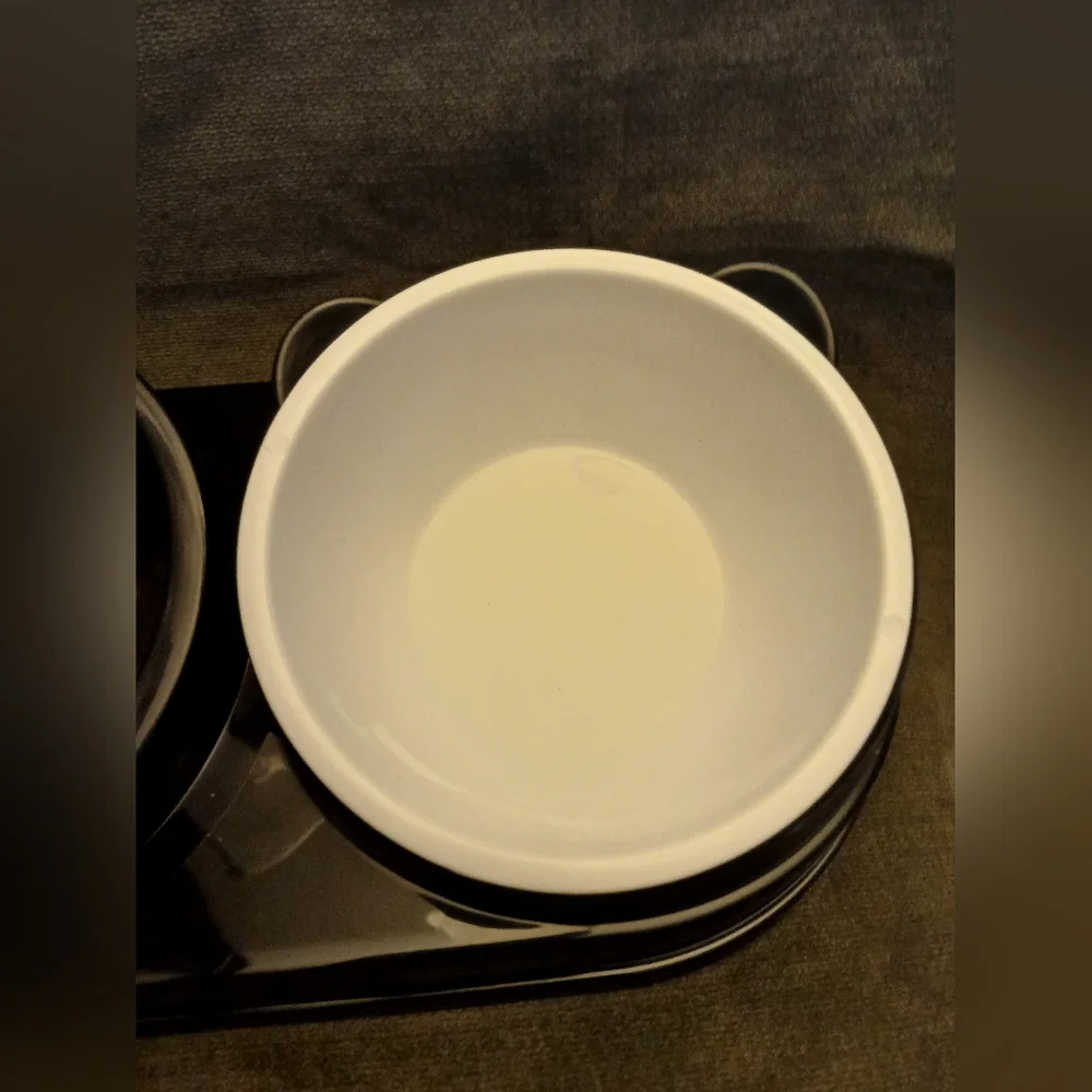 Pet Feeding Station with Water Dispenser